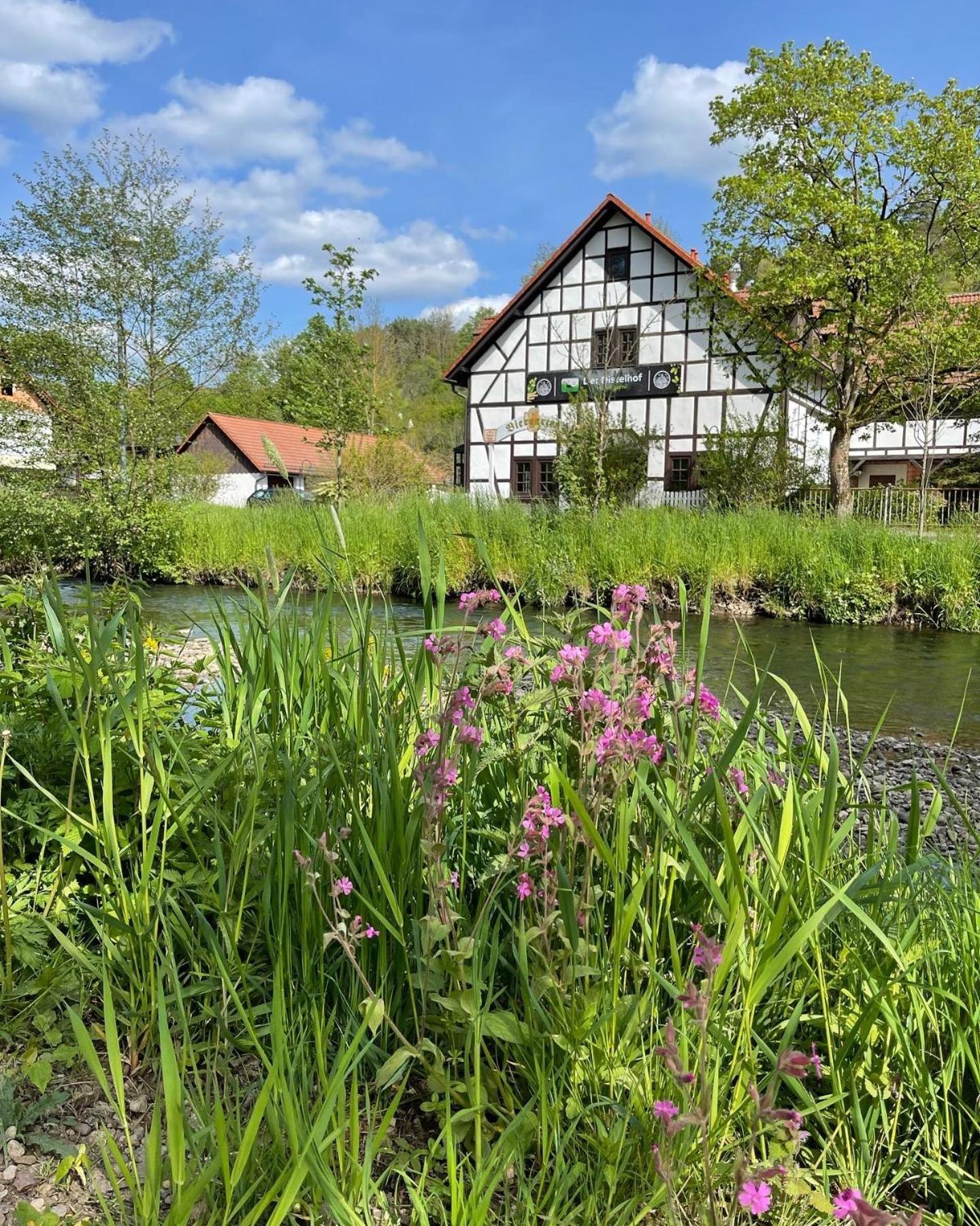 Landhotel Der Distelhof Mit Scheunencafe Dillstadt Exterior photo